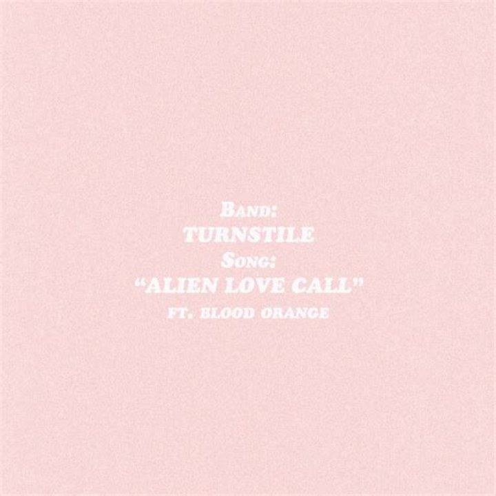 The Meaning Behind The Song: ALIEN LOVE CALL by Turnstile