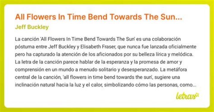 The Meaning Behind The Song: All Flowers In Time Bend Towards The Sun by Jeff Buckley