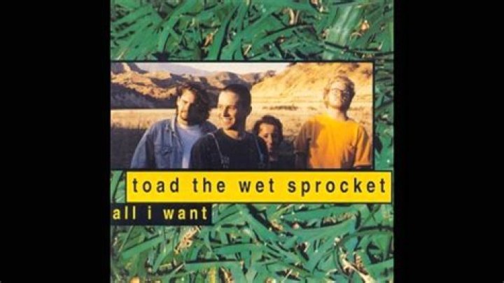 The Meaning Behind The Song: All I Want by Toad the Wet Sprocket