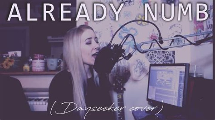 The Meaning Behind The Song: Already Numb by Dayseeker