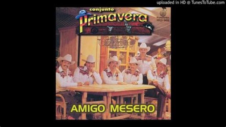 The Meaning Behind The Song: Amigo Mesero by Conjunto Primavera