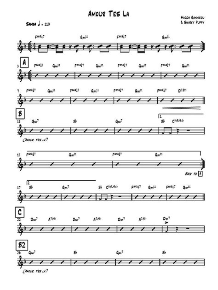 The Meaning Behind The Song: Amour t’es la by Snarky Puppy