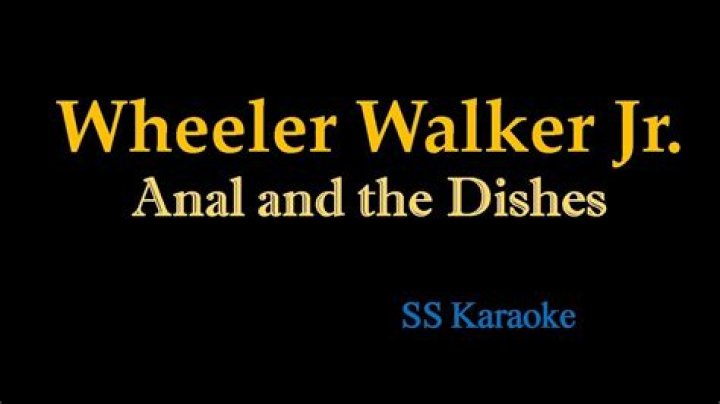 The Meaning Behind The Song: Anal & The Dishes by Wheeler Walker Jr.