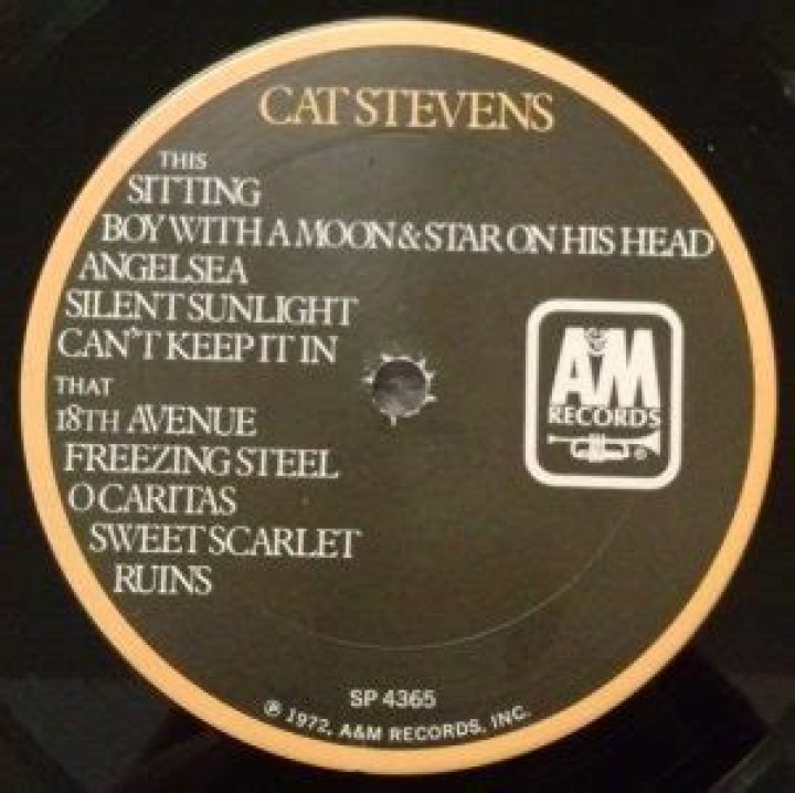 The Meaning Behind The Song: Angelsea by Cat Stevens