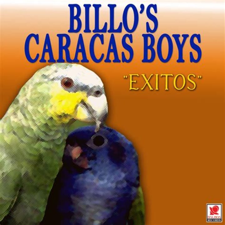 The Meaning Behind The Song: Año Nuevo by Billo & His Caracas Boys