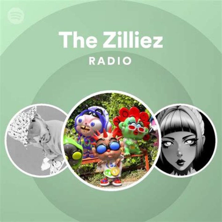The Meaning Behind The Song: Another Life by The Zilliez