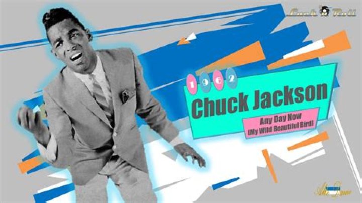 The Meaning Behind The Song: Any Day Now (My Wild Beautiful Bird) by Chuck Jackson