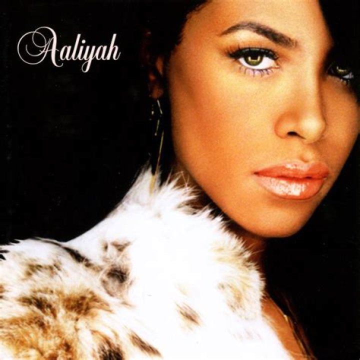 The Meaning Behind The Song: Are You That Somebody? by Aaliyah