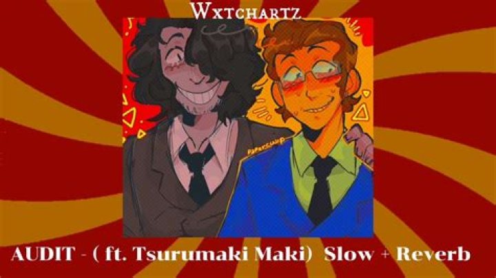 The Meaning Behind The Song: AUDIT by WeevilDoing