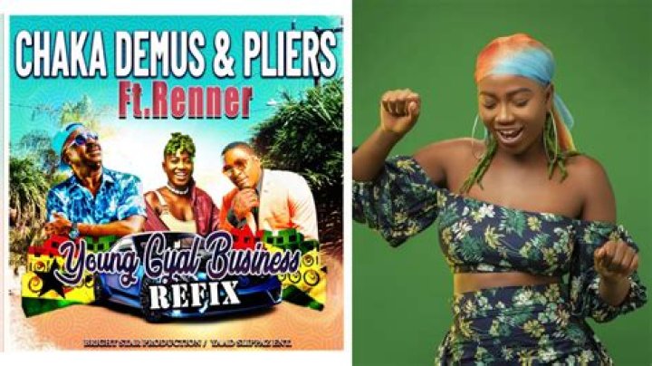 The Meaning Behind The Song: Bam Bam by Chaka Demus & Pliers