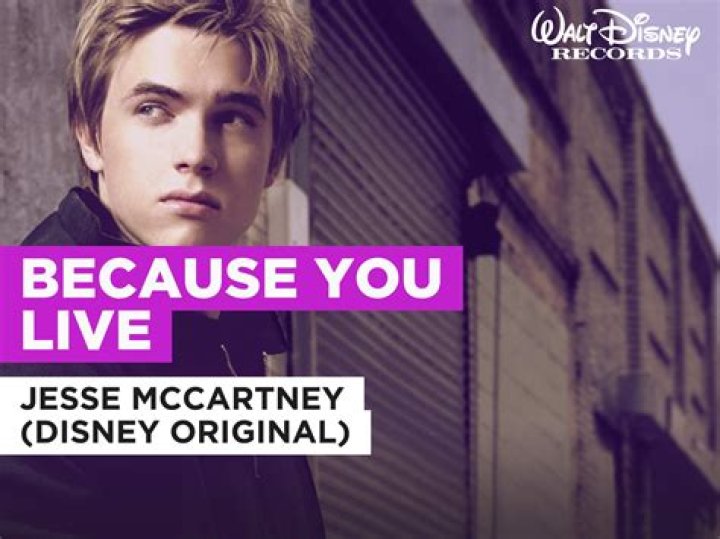 The Meaning Behind The Song: Because You Live by Jesse McCartney