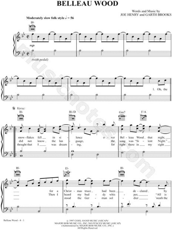 The Meaning Behind The Song: Belleau Wood by Garth Brooks