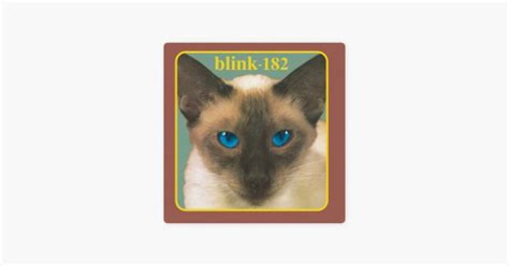 The Meaning Behind The Song: Ben Wah Balls by blink-182