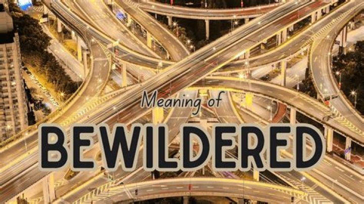 The Meaning Behind The Song: Bewildered by James Brown