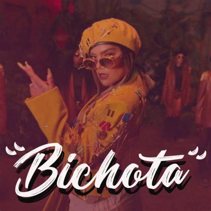 The Meaning Behind The Song: BICHOTA by Karol G