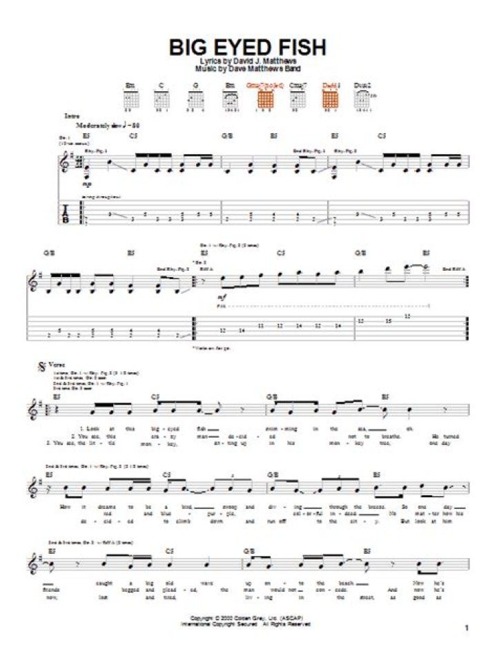 The Meaning Behind The Song: Big Eyed Fish by Dave Matthews Band