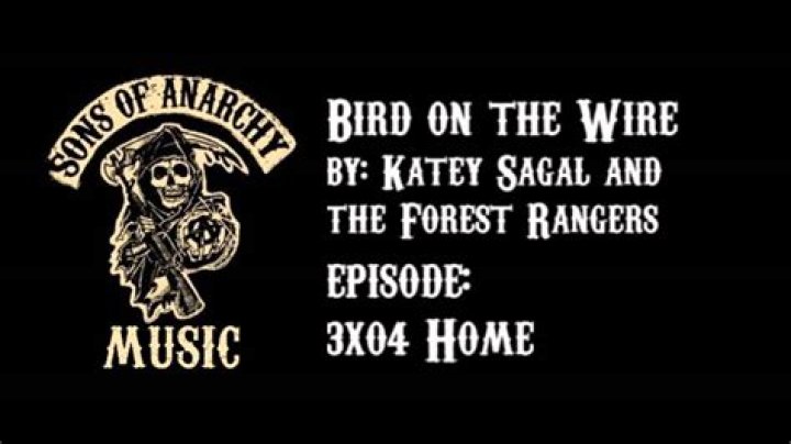 The Meaning Behind The Song: Bird on a Wire by Katey Sagal