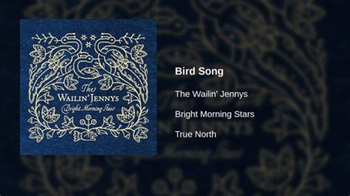 The Meaning Behind The Song: Bird Song by The Wailin’ Jennys
