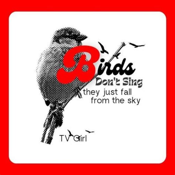 The Meaning Behind The Song: Birds Dont Sing by TV Girl