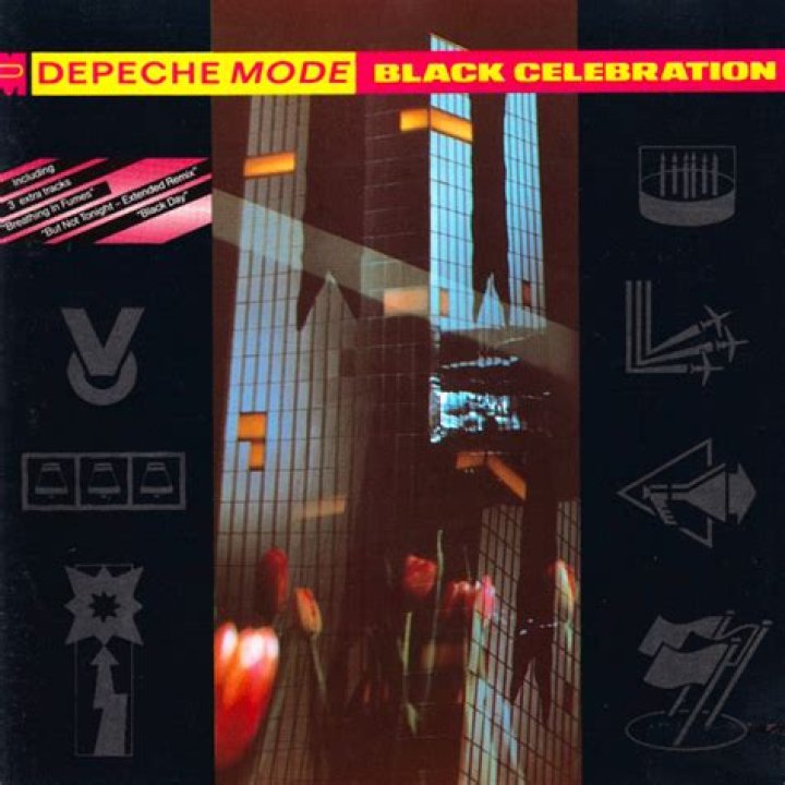 The Meaning Behind The Song: Black Celebration by Depeche Mode