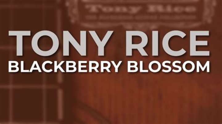 The Meaning Behind The Song: Blackberry Blossom by Tony Rice