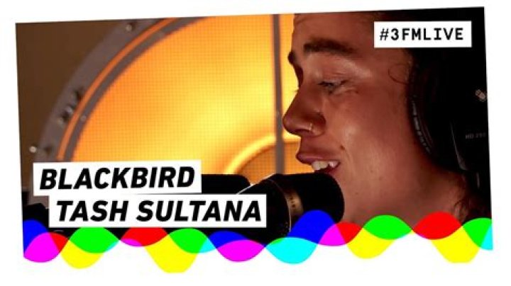 The Meaning Behind The Song: Blackbird by Tash Sultana