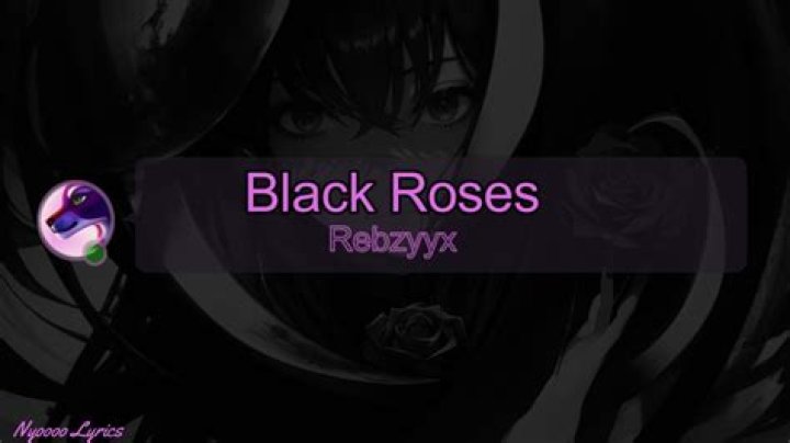 The Meaning Behind The Song: ‎blackroses by Rebzyyx