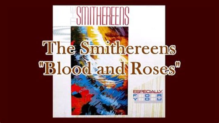 The Meaning Behind The Song: Blood and Roses by The Smithereens
