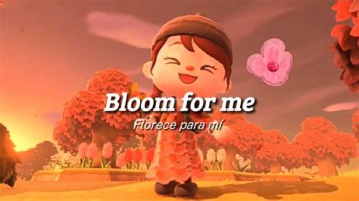 The Meaning Behind The Song: Bloom For Me by Pearly Drops