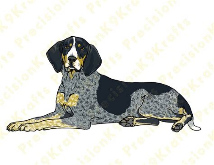 The Meaning Behind The Song: Blue Tick Hound by Fred Eaglesmith