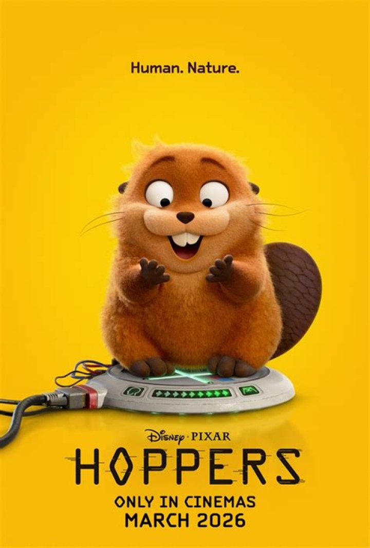 The Meaning Behind The Song: Border Hopper by Carioca