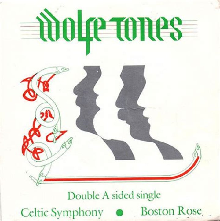 The Meaning Behind The Song: Boston Rose by Wolfe Tones