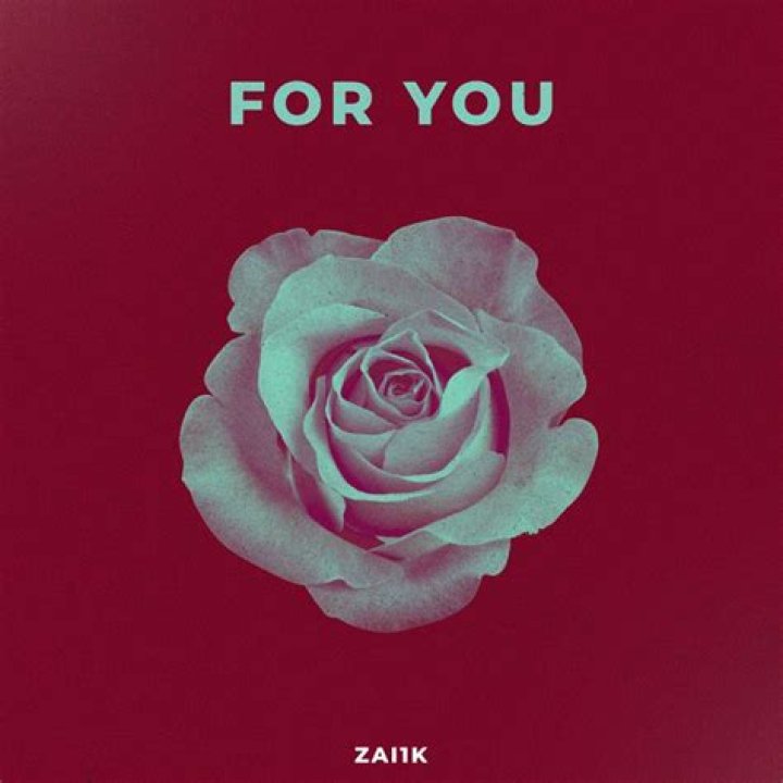 The Meaning Behind The Song: Both Sides by Zai1k