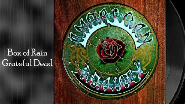 The Meaning Behind The Song: Box of Rain by The Grateful Dead