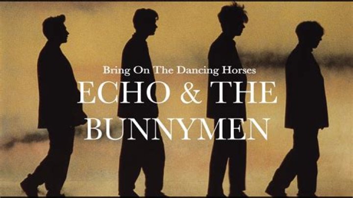 The Meaning Behind The Song: Bring On The Dancing Horses by Echo & the Bunnymen