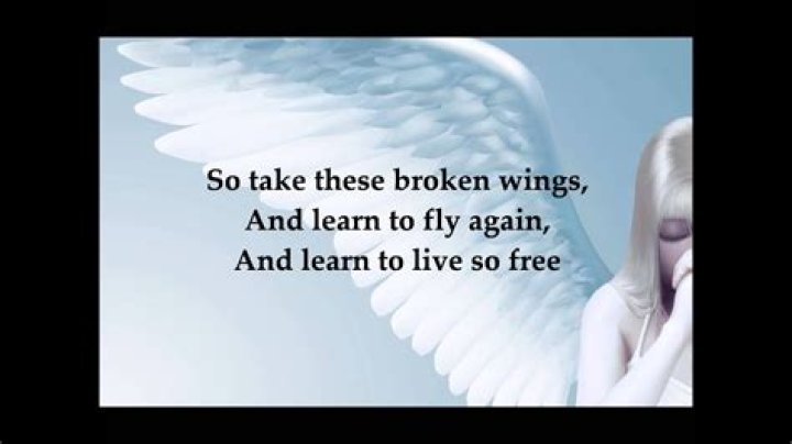 The Meaning Behind The Song: Broken Wings by Mr. Mister