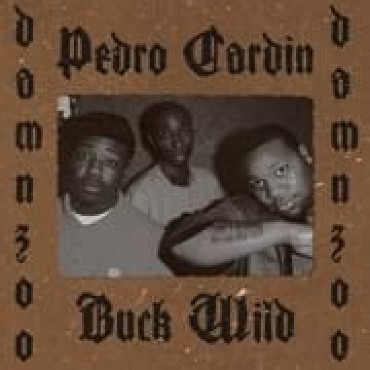 The Meaning Behind The Song: Buck Wild by Pedro Cardin