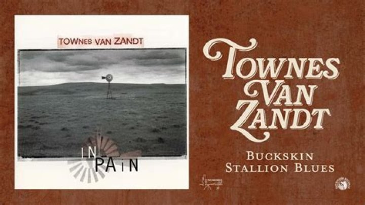 The Meaning Behind The Song: Buckskin Stallion Blues by Townes Van Zandt