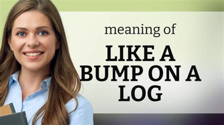 The Meaning Behind The Song: Bump on a Log by The Closets