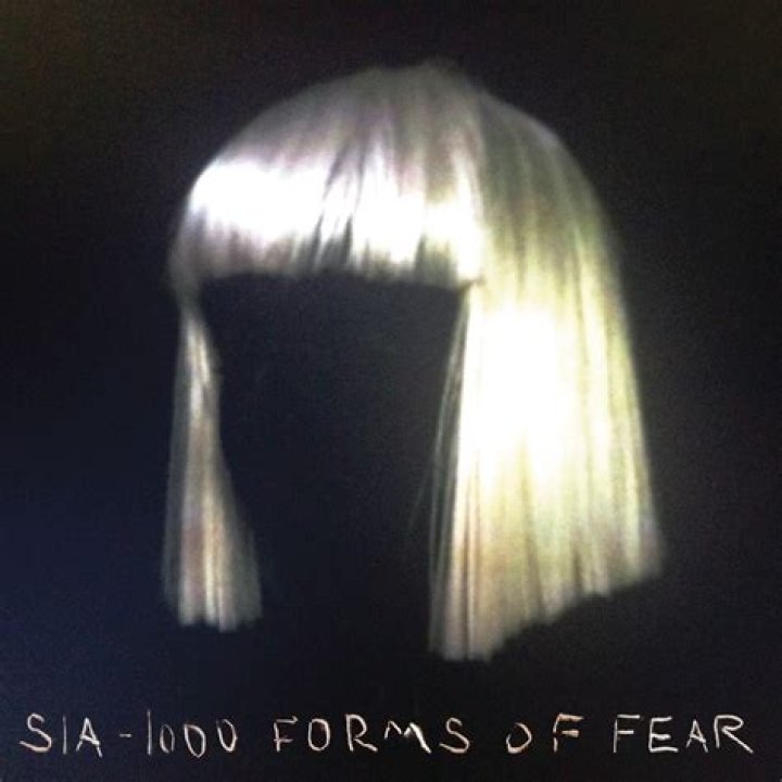 The Meaning Behind The Song: Burn the Pages by Sia