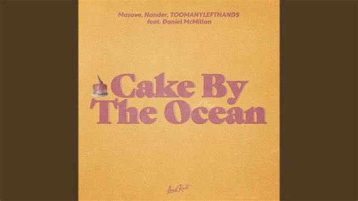 The Meaning Behind The Song: Cake by the Ocean by The Wonderland