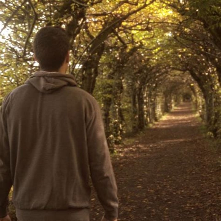 The Meaning Behind The Song: Calmate by Krilax