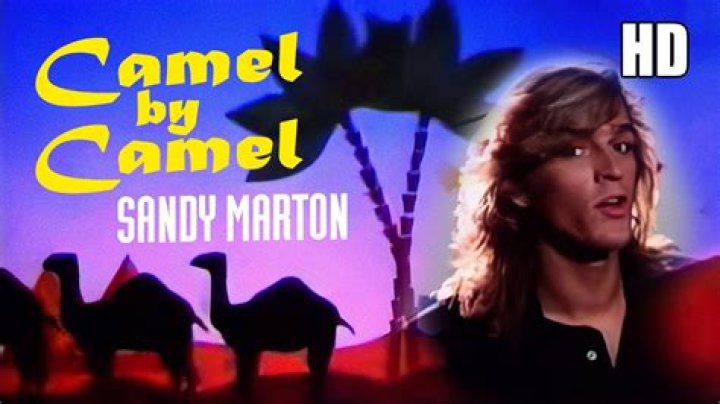 The Meaning Behind The Song: Camel by Camel by Sandy Marton