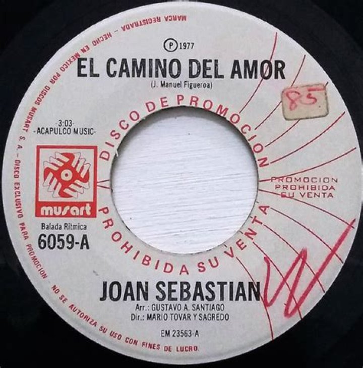 The Meaning Behind The Song: Camino del amor,el by Joan Sebastian