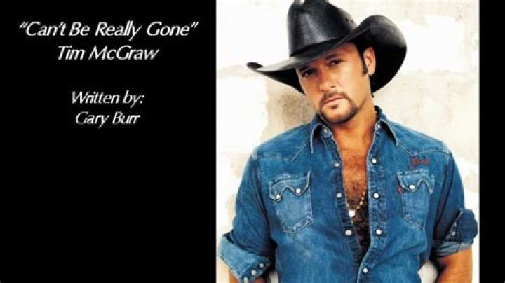 The Meaning Behind The Song: Can’t Be Really Gone by Tim McGraw