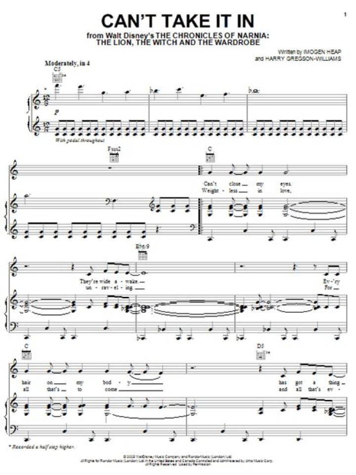 The Meaning Behind The Song: Can’t Take It In by Imogen Heap