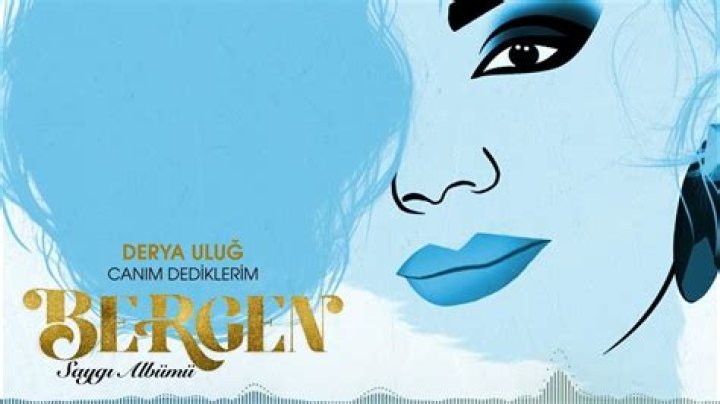 The Meaning Behind The Song: Canım Dediklerim by Derya Uluğ