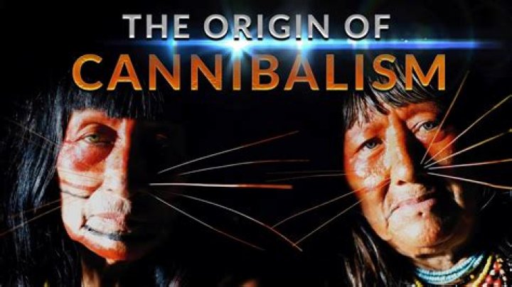 The Meaning Behind The Song: “Cannibal Doctor” by JW (SWE)