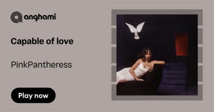 The Meaning Behind The Song: Capable of love by PinkPantheress