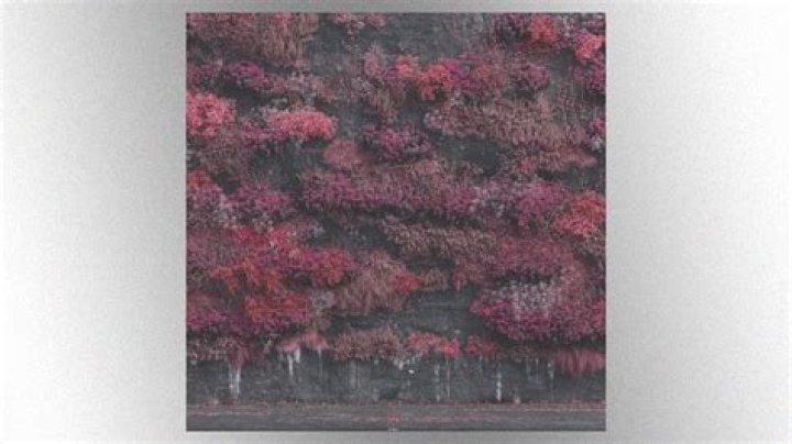 The Meaning Behind The Song: Caramel by Lloyd